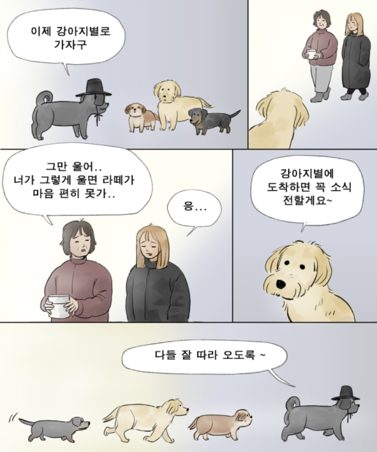  반려견과 반려묘의 인생을 담은 웹툰 '동물화실'