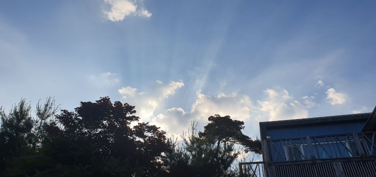  집을 계속 짓는 이유는 뭘까요? Why?