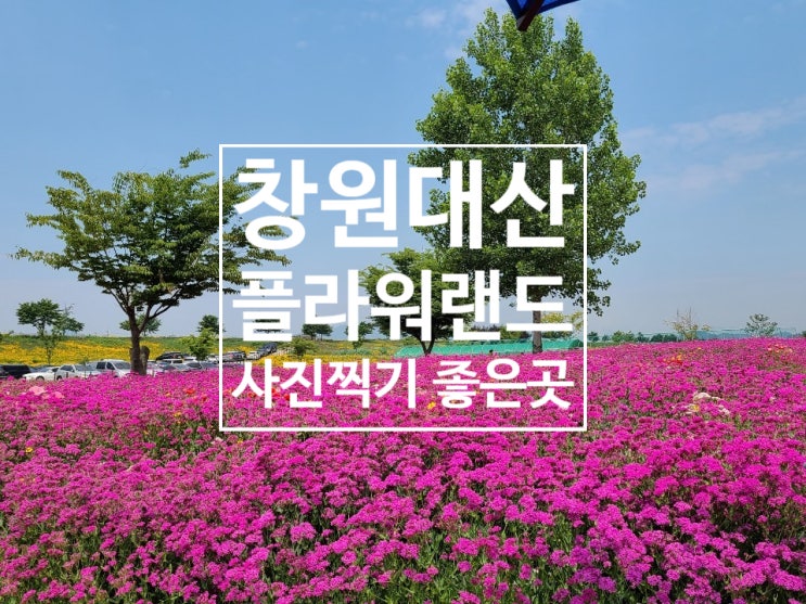  창원 대산플라워랜드 - 꽃과 사진찍기 좋은곳