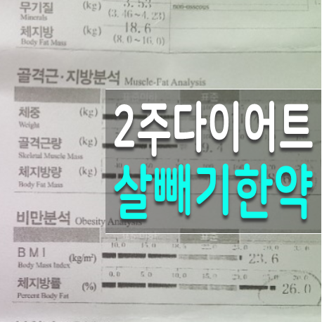 연신내비만클리닉 2주 다이어트 후기