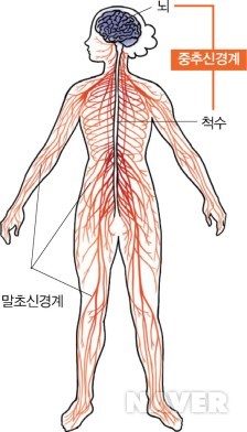  항불안제란?