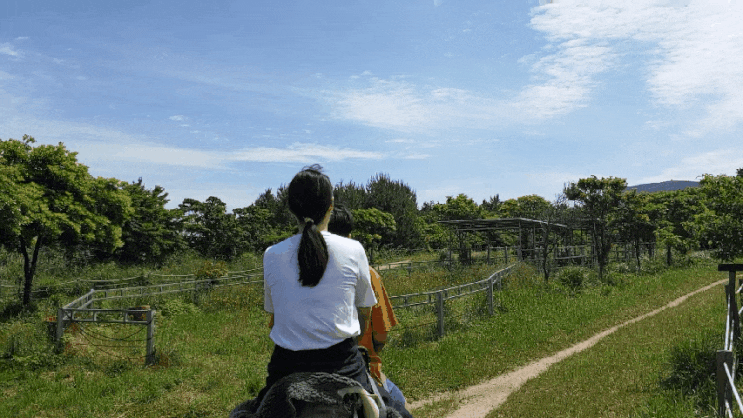  제주도 가족여행, 제주도 힐링여행, 제주도 3박4일여행_Day#2