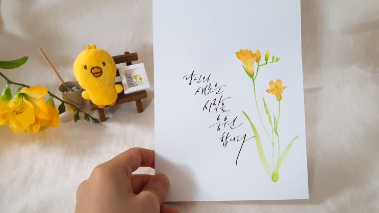  수채캘리그라피/프리지아 수채화/일산캘리그라피