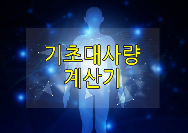  기초대사량 계산기 직접 계산해보자!