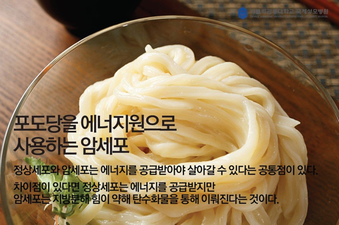  항암치료의 핵심 5가지 - 혈당관리의 중요성 편 '암은 포도당을 먹고자랍니다'