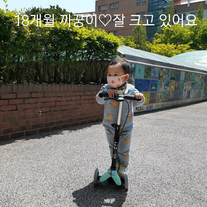  18개월 아기 발달 : 베일리검사 결과 듣고 왔어요 언어발달 어린이집 적응완료?!