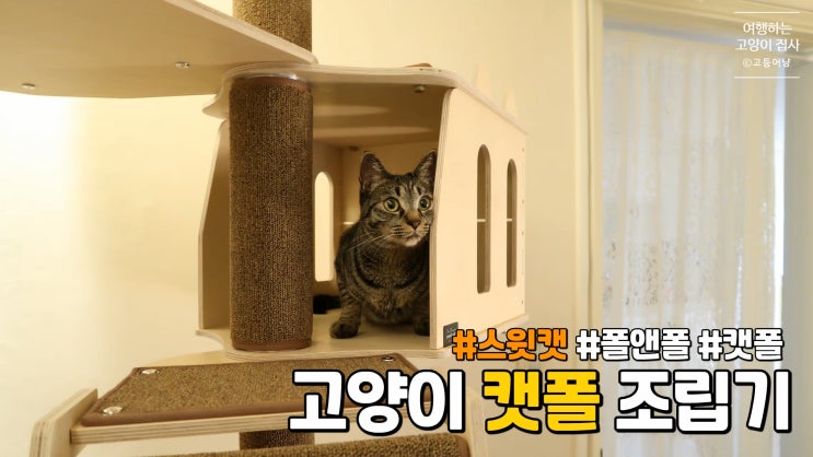  고양이 캣폴로 냥테리어 완성: 스윗캣 캣폴 조립기