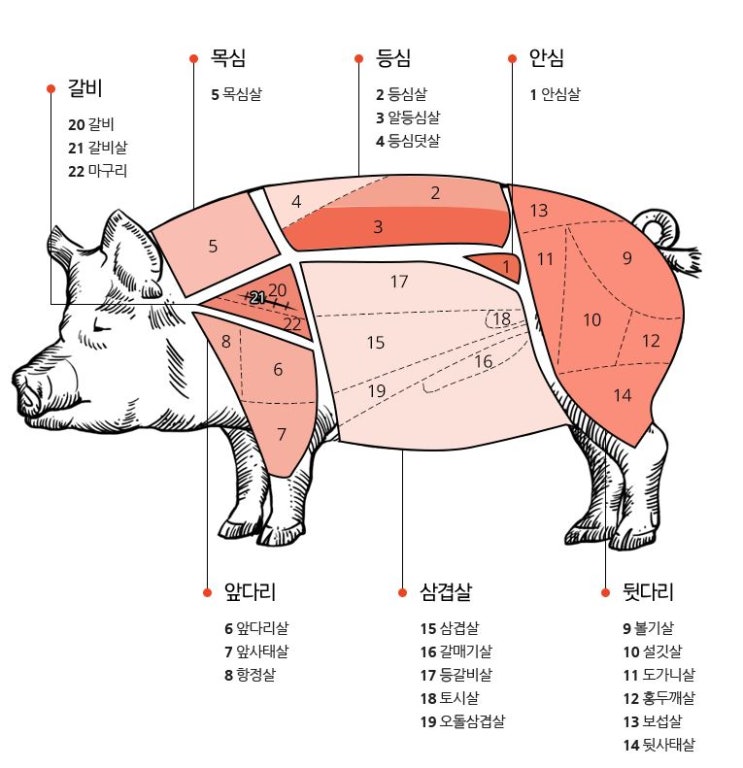  돼지고기 부위 별 명칭 특수부위 포함