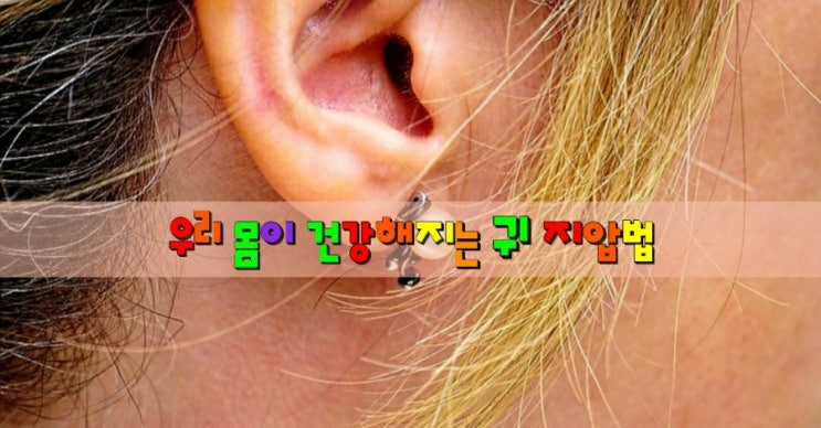 우리 몸이 건강해지는 귀 지압법 우리 몸이 건강해지는 귀 지압법