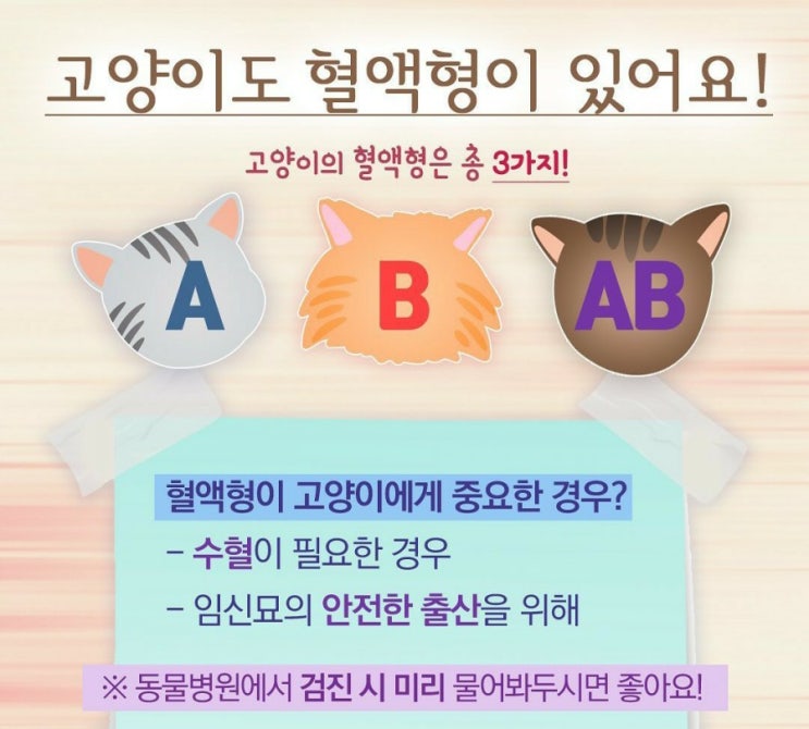  고양이도  혈액형이 있을까?