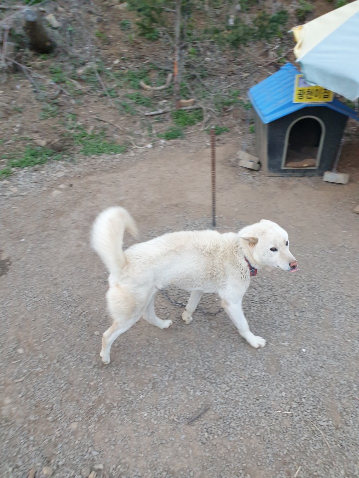  새 가족이 생겼어요