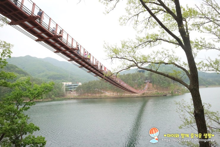  파주 아이랑 가볼만한곳 마장호수 출렁다리(주차정보)