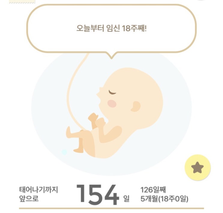  임신18주 증상