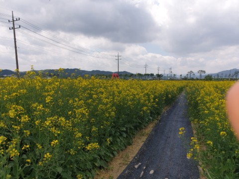  제천 초록 삼한길 자전거길