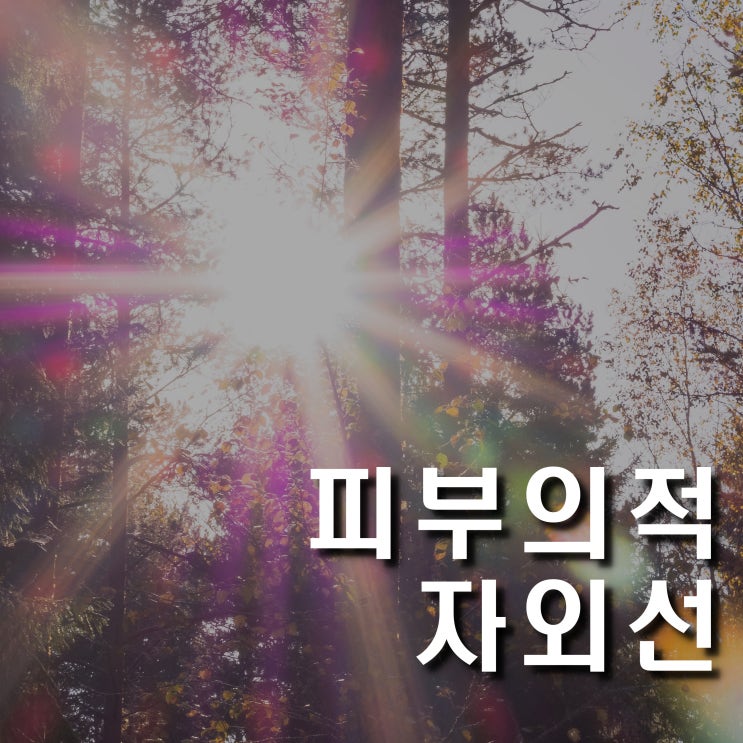  피부의적 자외선으로 부터 보호하자!