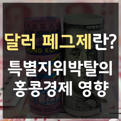 홍콩 달러페그제란? 특별지위박탈과 국제 경제