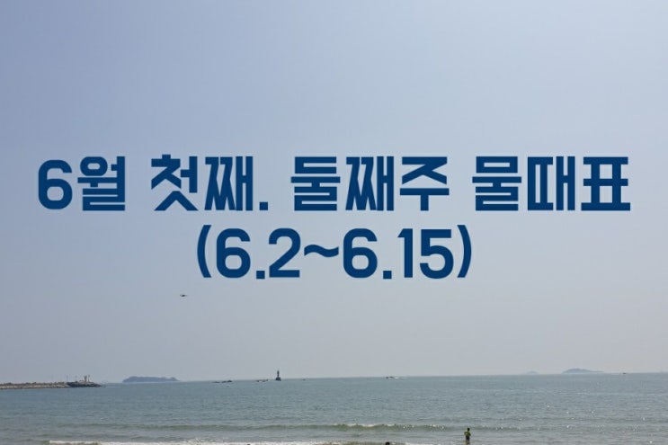  [태안] 갯벌(조개)체험시 꼭 알아야하는 안면도6월 물때표 및 주의사항 -  6.2~6.15