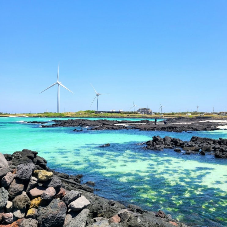  제주도 2박3일 코스 추천! 제주도 맛집, 제주도 숙소 추천 (제주 동부편)