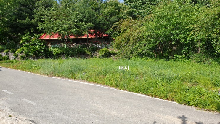  [여주부동산] 여주시 흥천면 시골마을내 소액 토지(대지) 매매[4천5백]