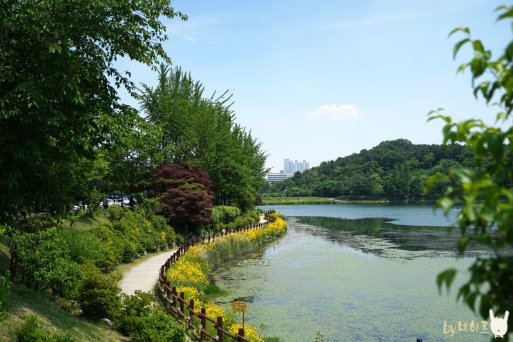 이천 가볼만한곳 설봉공원 산책