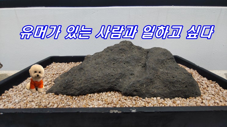 유머가 있는 사람과 오피스텔에서 일하고 싶다