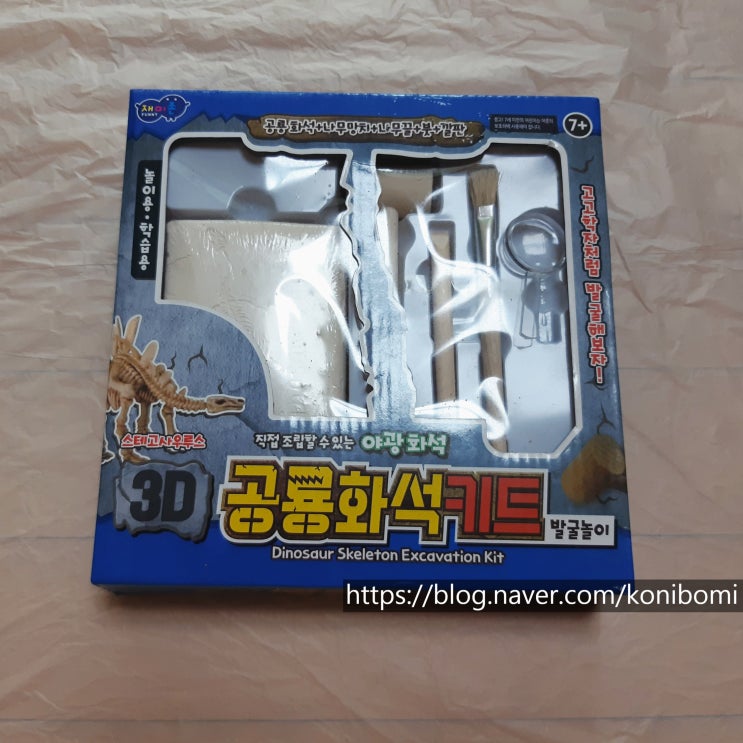 공룡화석키트 공룡화석키트