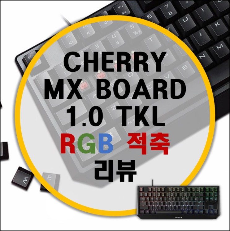 체리 게이밍 기계식 키보드 MX BOARD 1.0 TKL RGB 적축 리뷰