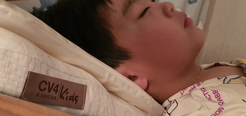가누다 피아노 베개 만성 불면증 해결에 도움이 될까?