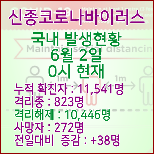  코로나19(코로나바이러스) 6월 2일 0시 국내 발병 11,541명 / 10,446명 완치 격리해제 / 사망자 272명