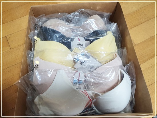  [내돈내산] 리바이스 썸머 스킨 리바이핏 브라팬티 노와이어