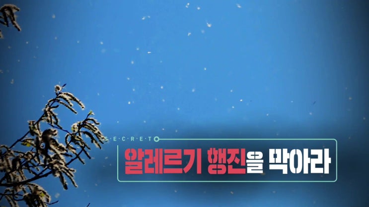  생로병사의비밀 알레르기 행진