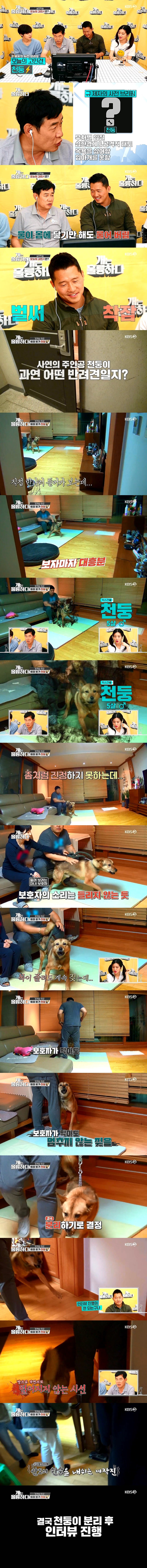 _ 막내 파랭이 35일차때 1차 접종 하러 갔을때 박순석 원장님과 기싸움중 ㅋ 이름은.람보 라고 정했고 근엄한 눈빛을 지닌 강아지로  멋지게 자라고 있어요 이제 4개월 접어들면서.... 모두 외모 그지존 인듯라지만 괜찮아 외모 불변의 법칙 여전히 멋져!! #슈퍼말이오  #동물농장 #박순석원장님 #수의사 #첫진료 #동물농장루비 #근엄한 #귀여운 #강아지 #셰퍼드, image size:800x8550