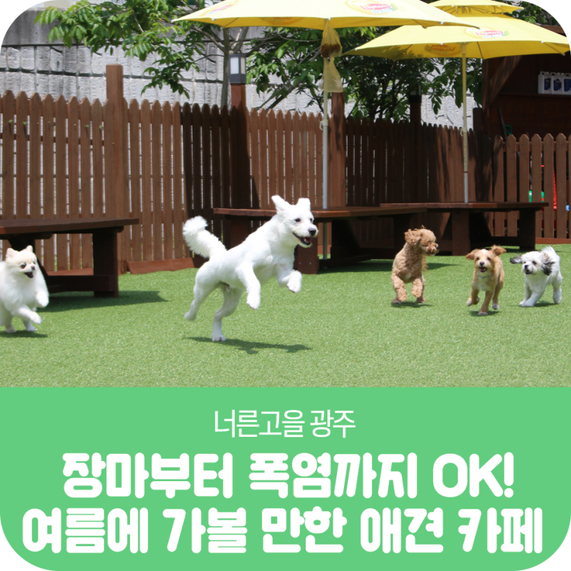도그런살롱 — 광주시