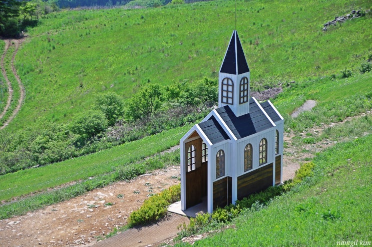 평창 가볼만한 곳, 해발 1,256m 청옥산 육백마지기