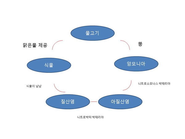  미래농업 아쿠아포닉스와 물생활