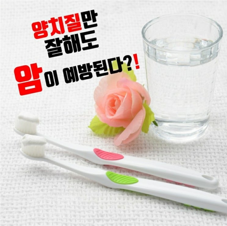  건강]양치질만 잘해도 암이 예방된다!!