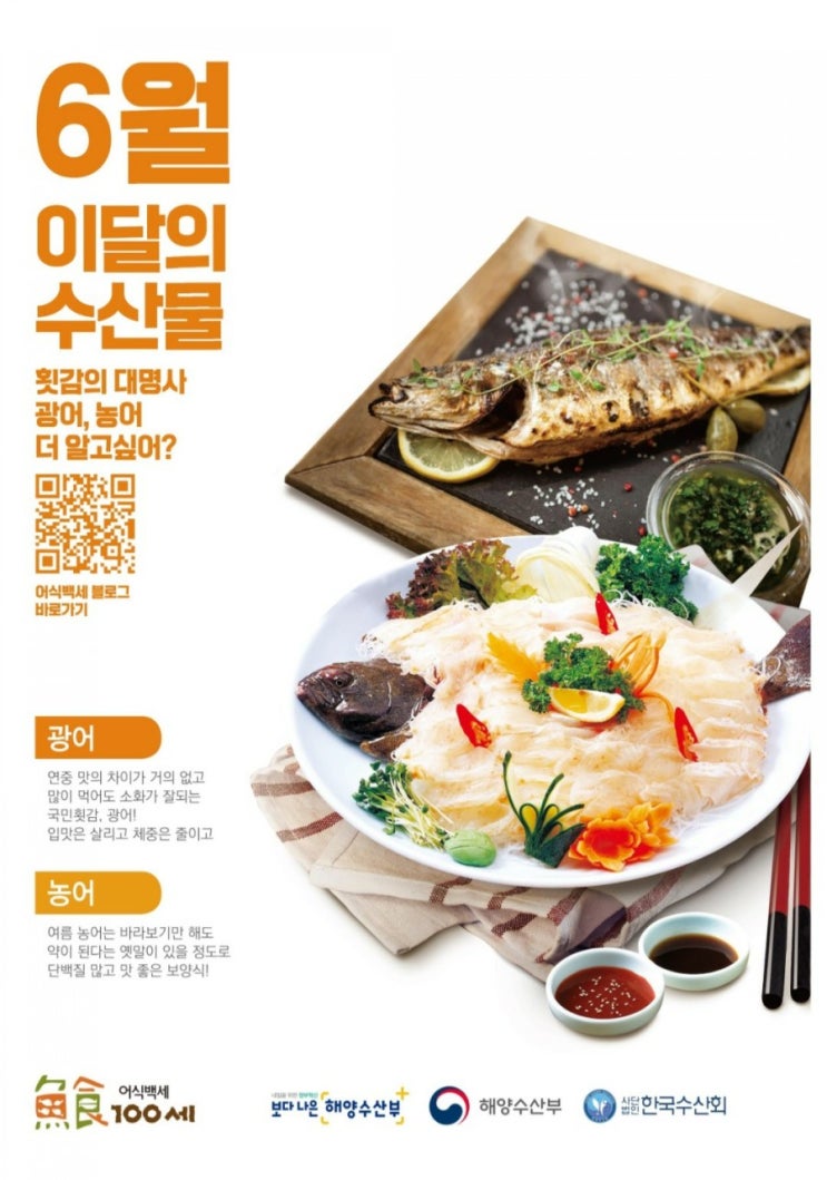  농어회, 광어회 칼로리 영양성분