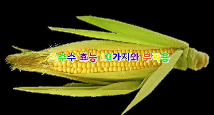 옥수수 효능10가지와 부작용 옥수수 효능10가지와 부작용