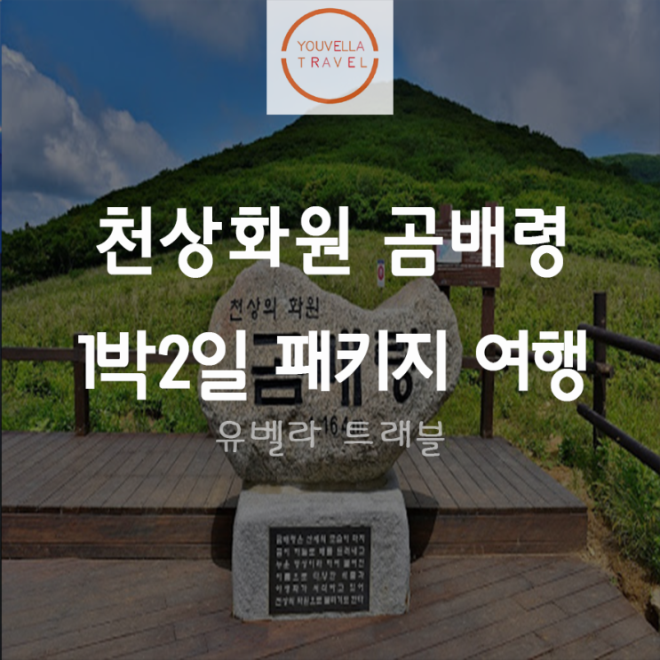  [부산출발] 강원도 곰배령 자작나무 숲 1박2일 패키지 여행 부산수송버스 포함
