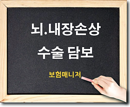  현대해상 태아보험 뇌·내장손상수술 알아보기
