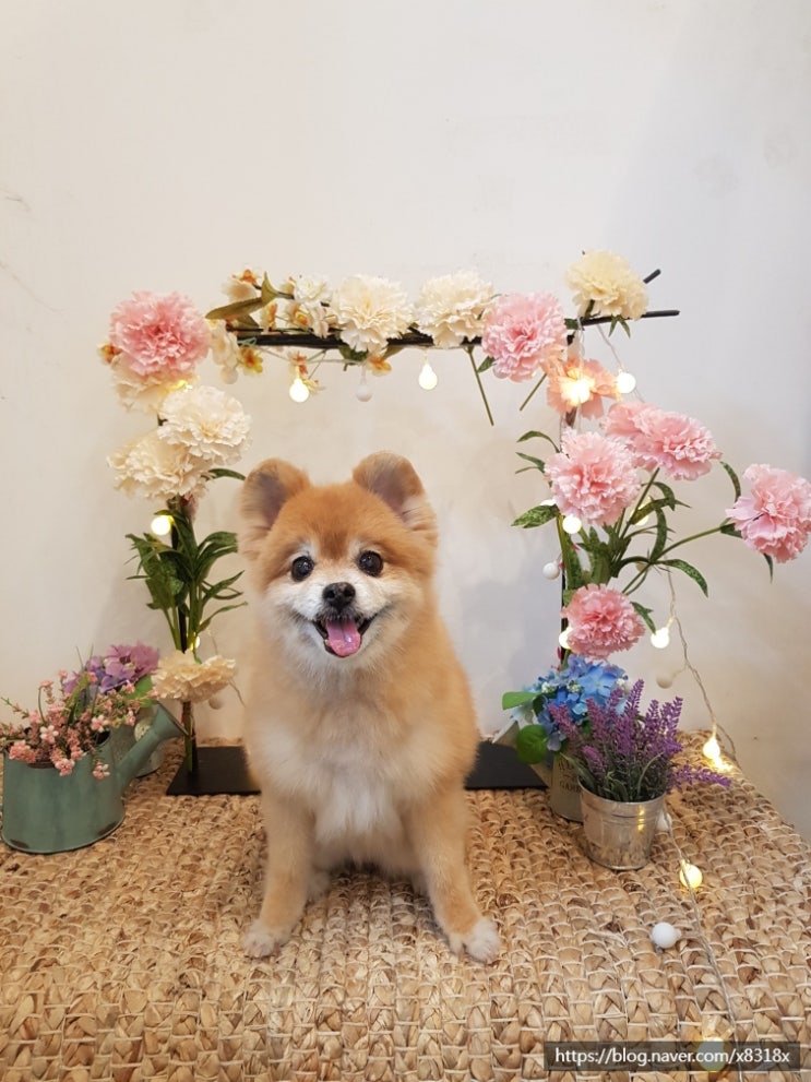  미용한날