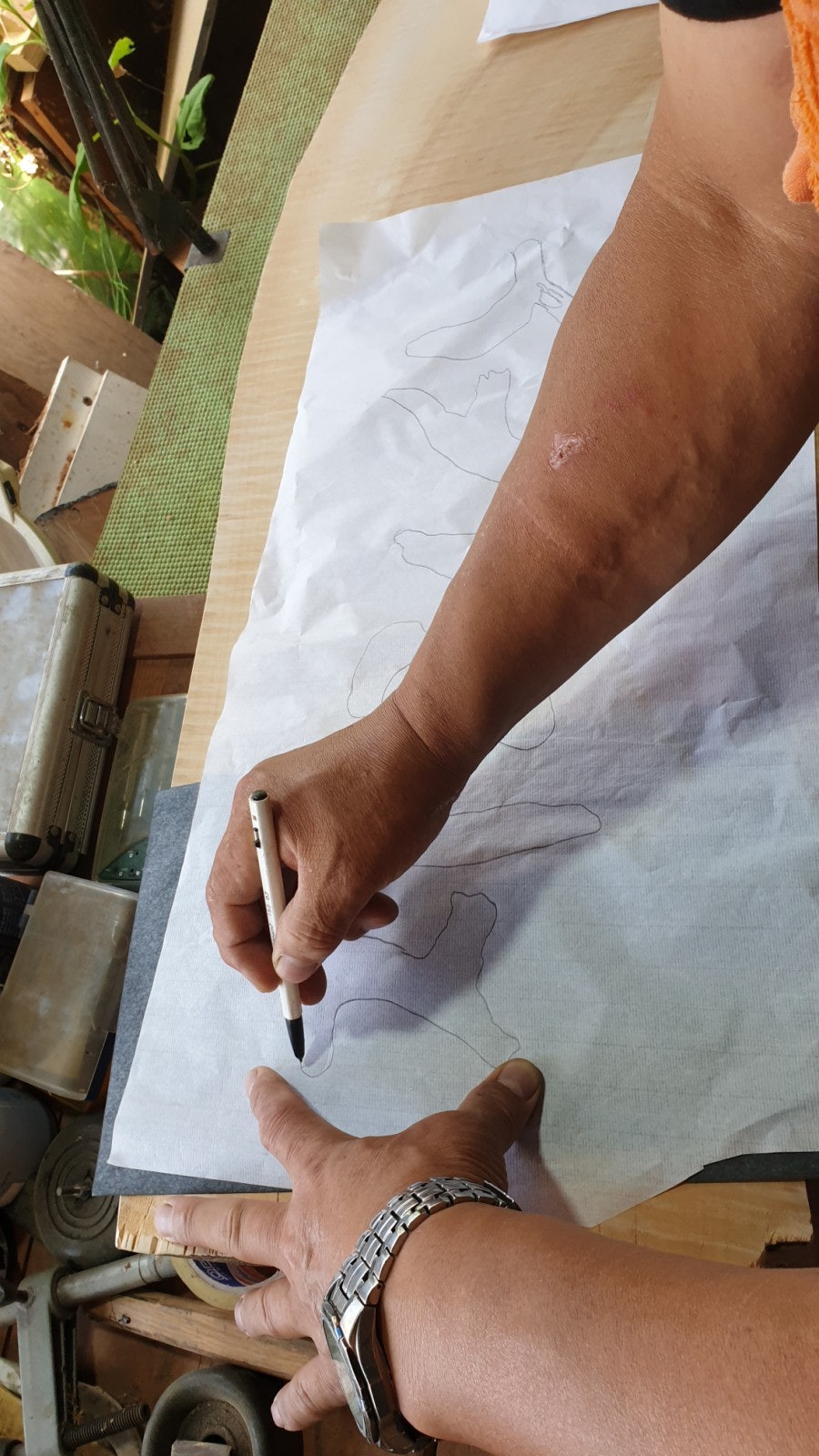 지리산감비나무 사진 6