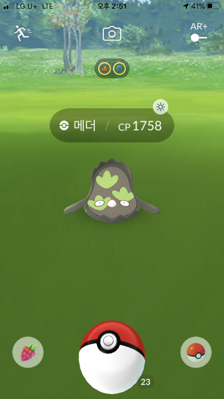  메더