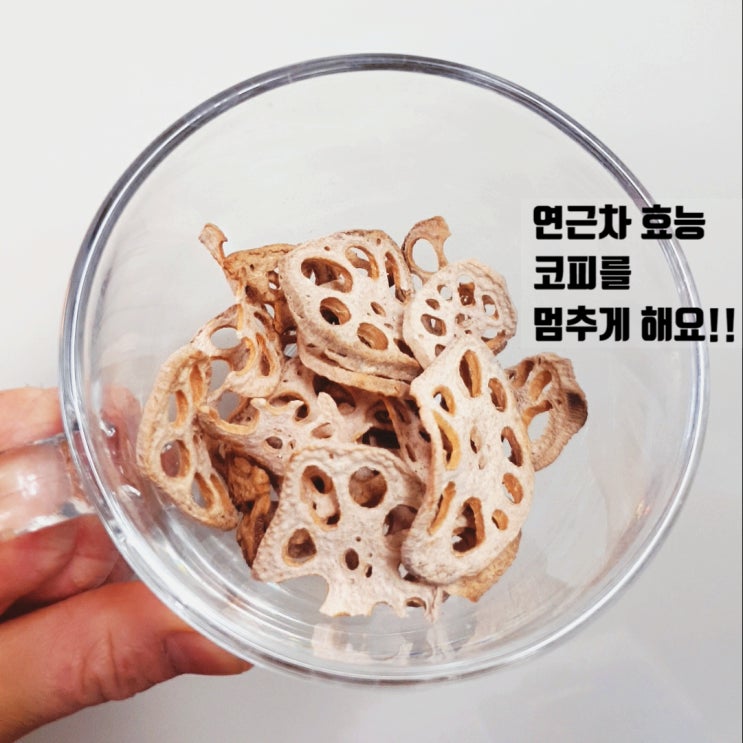  연근차 효능 코피를 멈추게 하는 이유
