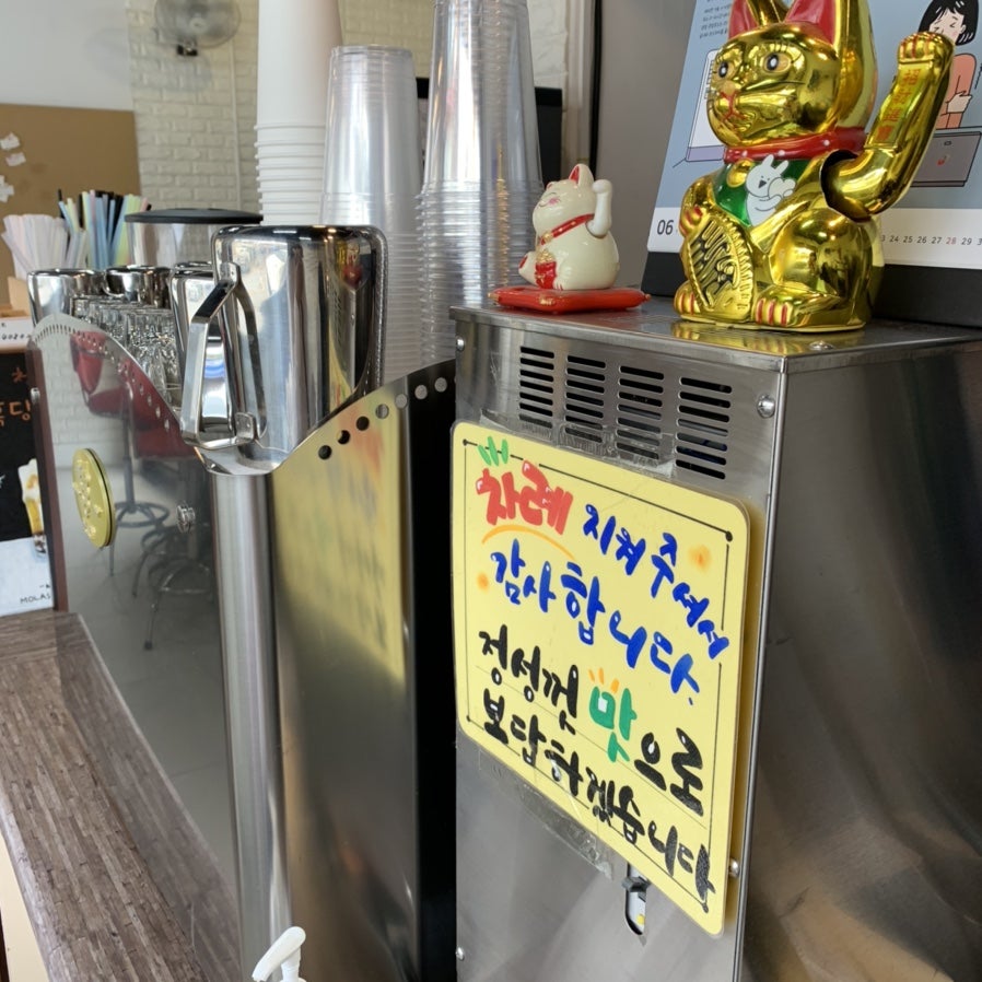 버블빈 사진 6