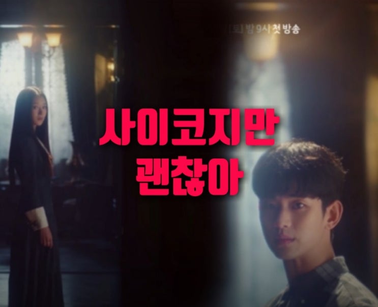 tvN 드라마 사이코지만괜찮아 김수현서예지드라마 원작과작가인물관계도. 넷플릭스방송
