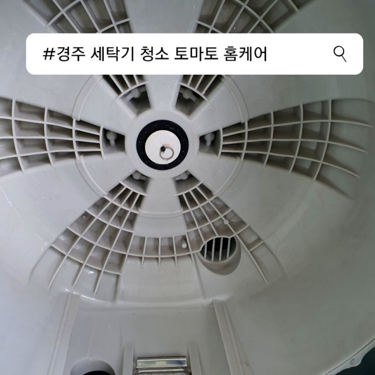  경주 세탁기 청소 : 토마토홈케어