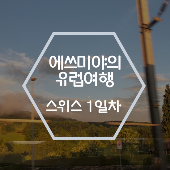  유럽여행_스위스 : 다사다난한 국가 이동 (주의 : 여행할 때 하지말아야할 꿀팁)