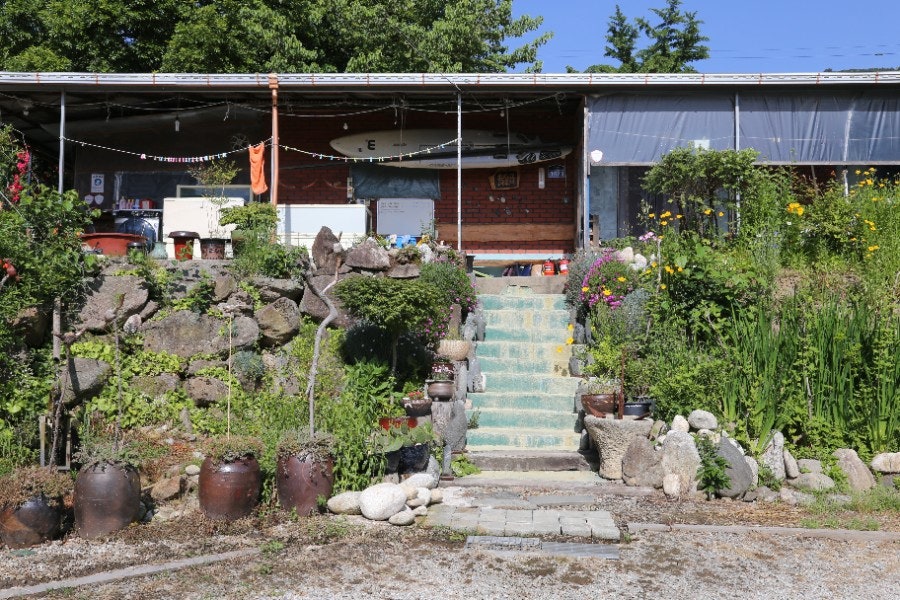 지리산감비나무 사진 2