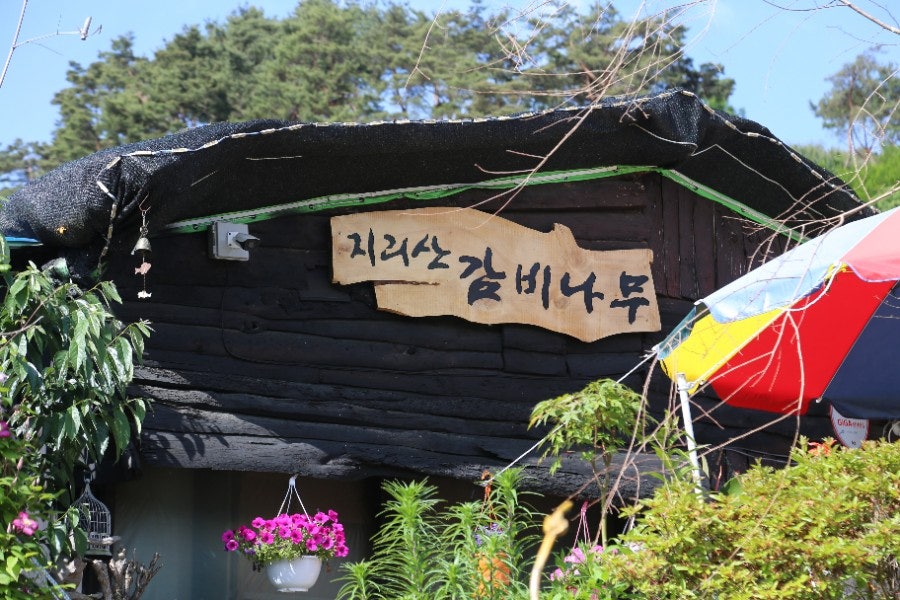 지리산감비나무 사진 3